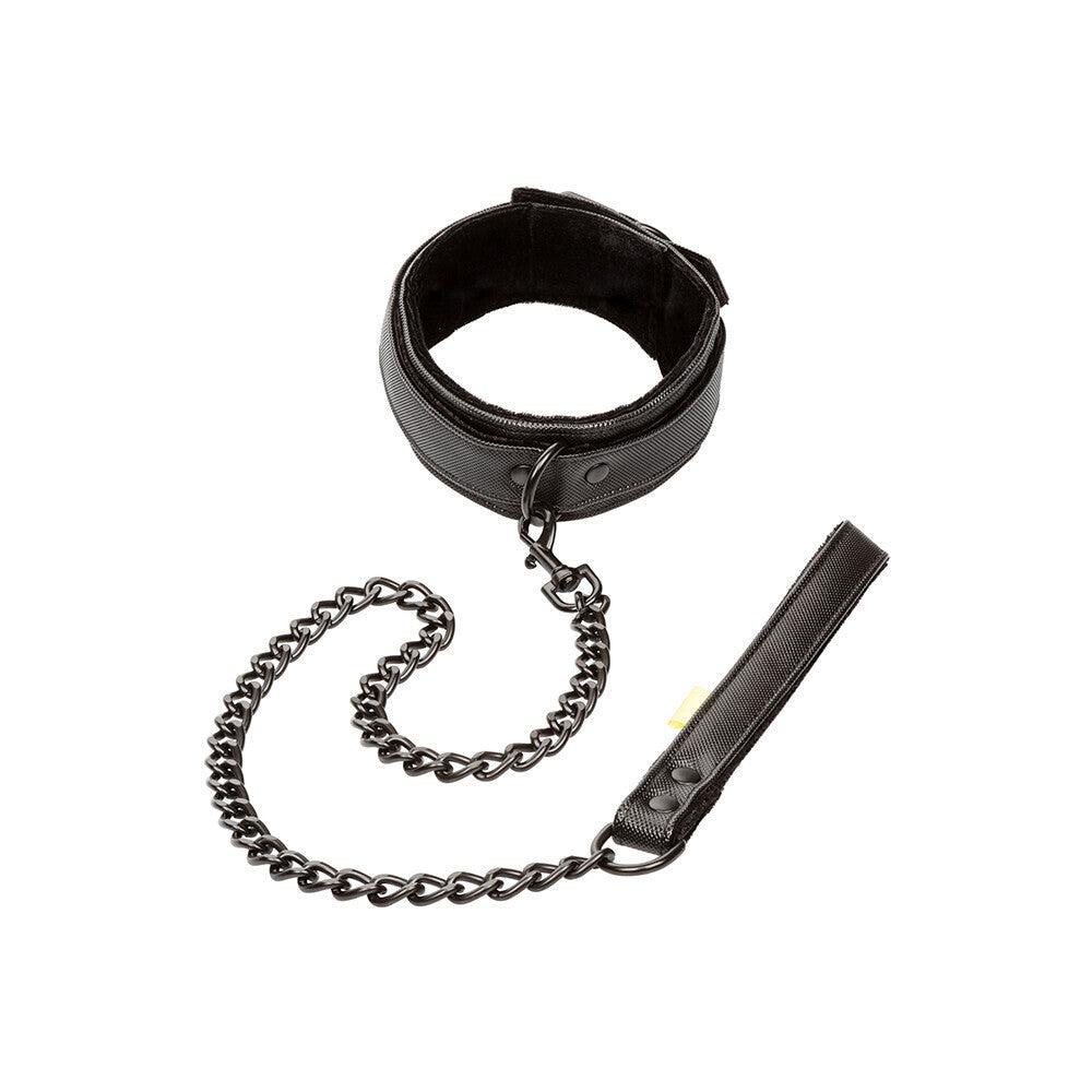 Boundless Collar and Leash-Katys Boutique