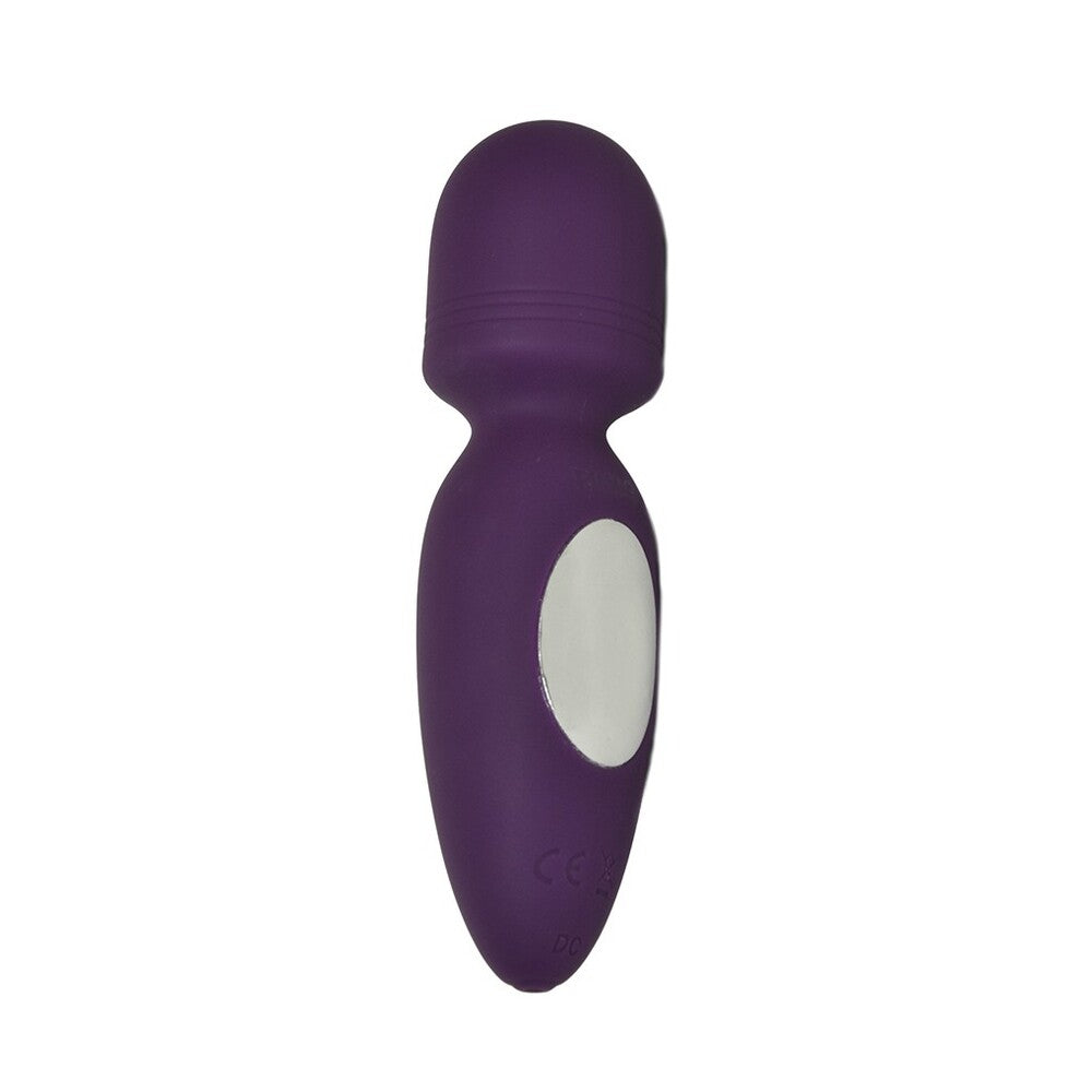 Rimba Valencia Mini Wand Vibrator Purple-Katys Boutique