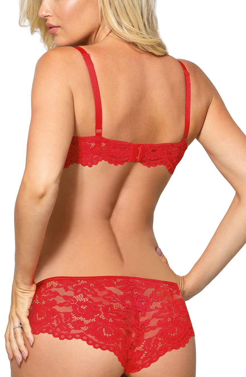 A person with blonde hair is wearing a red lace lingerie set, featuring a bra and Roza Newia Red Brief. The image captures the back view, highlighting the intricate design and details of the lingerie from Roza.